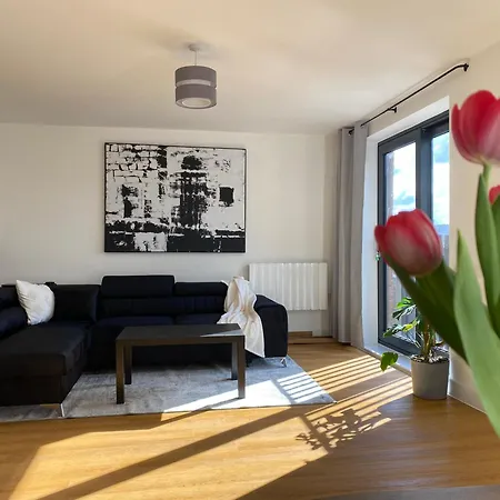 Apartment Beautiful Penthouse In - New Bristol